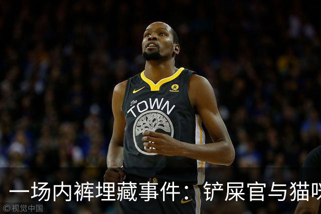 一场内裤埋藏事件：铲屎官与猫咪的幽默对决
