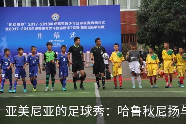 亚美尼亚的足球秀：哈鲁秋尼扬与阿图尔的完美双响！