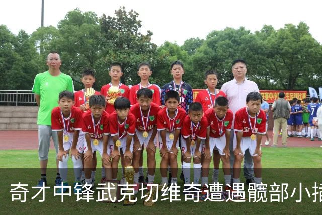 奇才中锋武克切维奇遭遇髋部小插曲，四周后重整旗鼓！